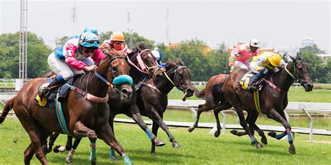 kelly criterion calculator horse racing.